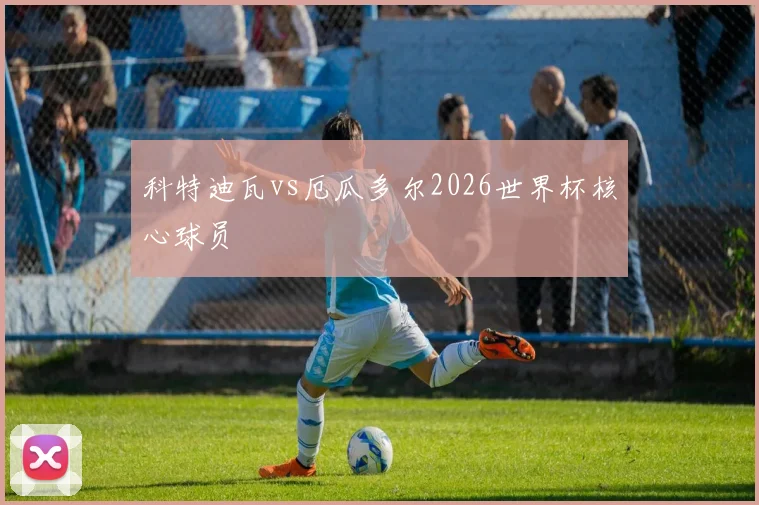 科特迪瓦vs厄瓜多尔2026世界杯核心球员
