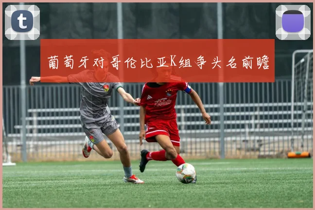 葡萄牙对哥伦比亚K组争头名前瞻