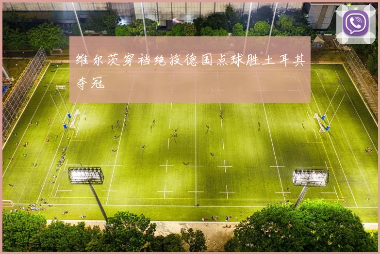 维尔茨穿裆绝技德国点球胜土耳其夺冠