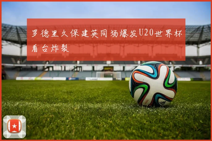 罗德里久保建英同场爆发U20世界杯看台炸裂