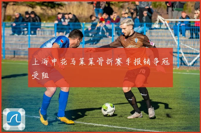 上海申花马莱莱骨折赛季报销争冠受阻