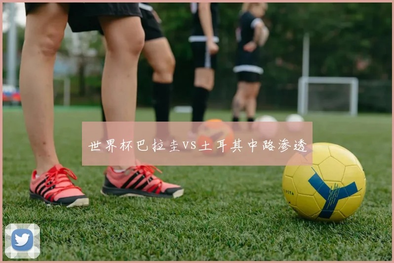 世界杯巴拉圭vs土耳其中路渗透