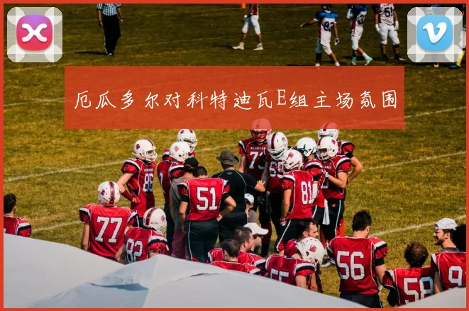厄瓜多尔对科特迪瓦E组主场氛围