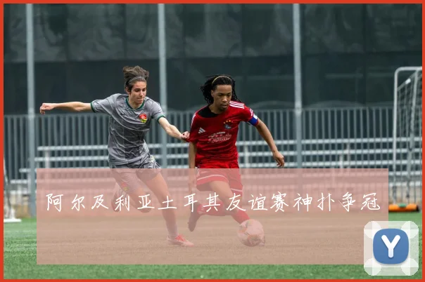 阿尔及利亚土耳其友谊赛神扑争冠
