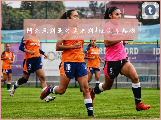 阿尔及利亚对奥地利J组反击路线