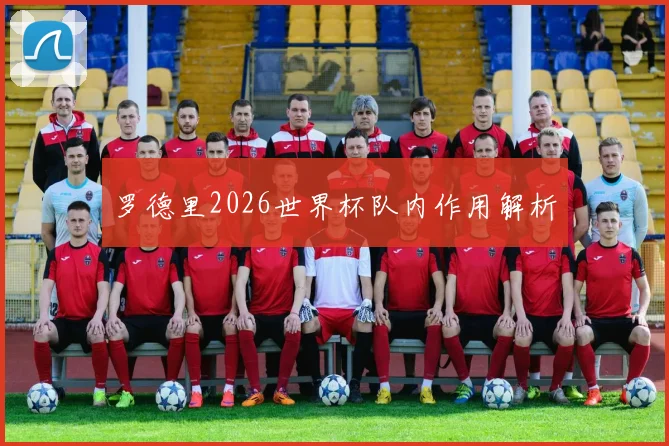 罗德里2026世界杯队内作用解析
