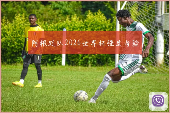 阿根廷队2026世界杯强度考验