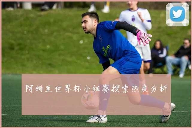 阿姆里世界杯小组赛搜索热度分析