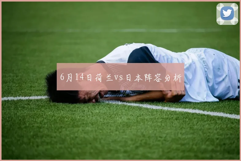 6月14日荷兰vs日本阵容分析
